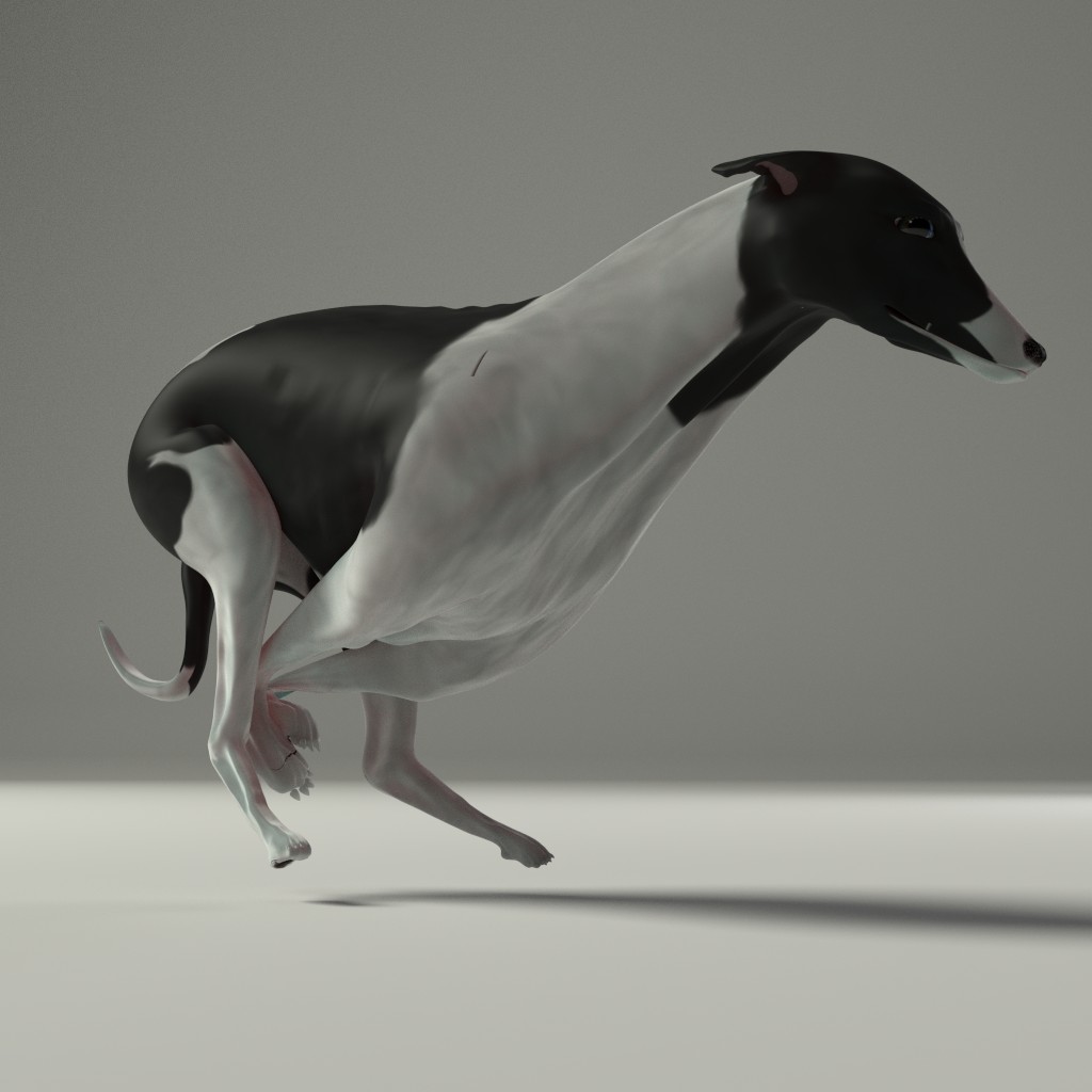 Whippet [rigged] preview image 2